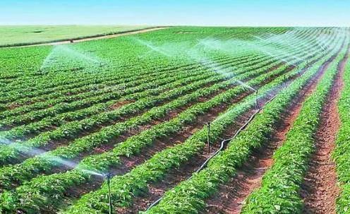 日逼逼把视频啊啊啊农田高 效节水灌溉